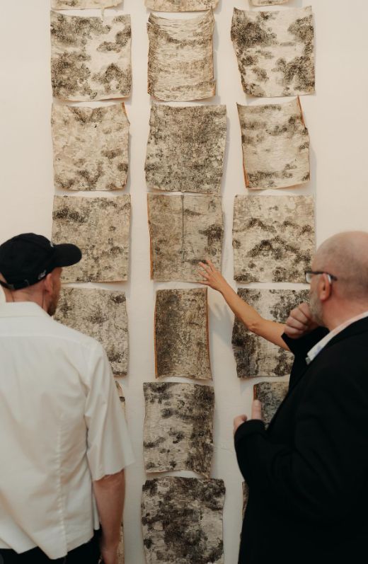 Satura Gallery